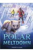 Polar Meltdown