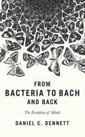 From Bacteria to Bach and Back