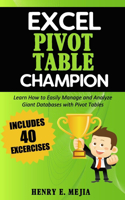 Excel Pivot Table Champion