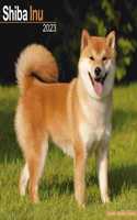 Shiba Inu 2023 Wall Calendar