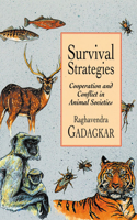 Survival Strategies