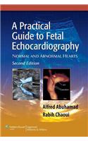 A Practical Guide to Fetal Echocardiography: Normal and Abnormal Hearts