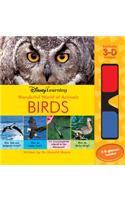 Wonderful World of Animals BIRDS-3D