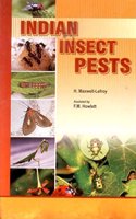 Indian Insect Pests