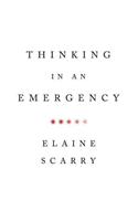 Thinking in an Emergency