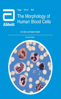 Morphology of Human Blood Cells