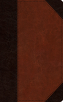 ESV Reader's Bible (Trutone, Brown/Cordovan, Portfolio Design)