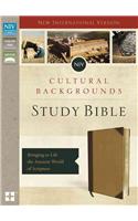 NIV, Cultural Backgrounds Study Bible, Imitation Leather