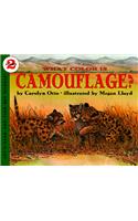 What Color Is Camouflage?