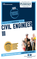 Civil Engineer III (C-2160)