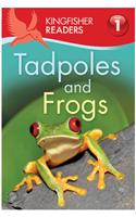 Kingfisher Readers: Tadpoles and Frogs (Level 1: Beginning to Read)