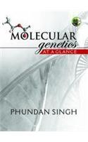 Molecular genetics: At a glance