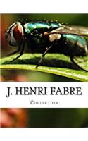 J. Henri Fabre, Collection