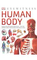 Human Body