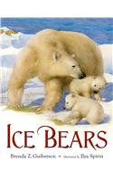 Ice Bears