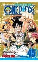 One Piece, Vol. 45