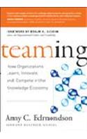 Teaming: How Organizations Learn, Innovate, and Compete in the Knowledge Economy.