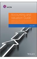 Accounting and Valuation Guide