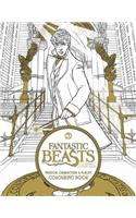 Fantastic Beasts and Where to Find Them: Magical Characters and Places Colouring Book