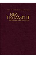 New Testament with Psalms & Proverbs-NIV