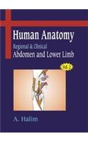 Human Anatomy: v. 2: Adomen and Lower Limb