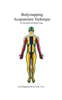 Bodymapping Acupuncture Technique