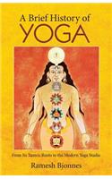 Brief History of Yoga