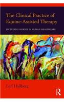 Clinical Practice of Equine-Assisted Therapy