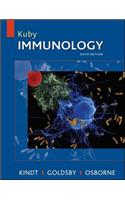 Kuby Immunology