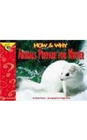 How and Why Animals Prepare for Winter