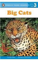 Big Cats