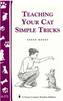 Teaching Your Cat Simple Tricks