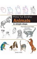 How to Draw: Animals