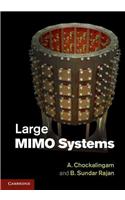 Large Mimo Systems