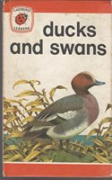 Ducks And Swans (Ladybird leaders)