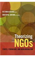 Theorizing NGOs