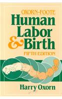 Human Labor and Birth