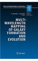 Multiwavelength Mapping of Galaxy Formation and Evolution