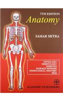 ANATOMY 3