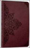 Holy Bible: English Standard Version (ESV) Anglicised Chestnut Ornamental Thinline edition