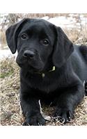 Black Labrador Puppy Notepad