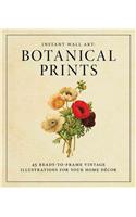 Instant Wall Art - Botanical Prints