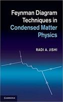 Feynman Diagram Techniques in Condensed Matter Physics (Paperback)