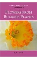 Flowers From Bulbous Plants