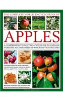 Complete World Encyclopedia of Apples