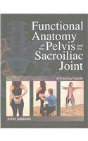 Functional Anatomy of the Pelvis and the Sacroiliac Joint