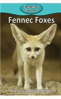 Fennec Foxes