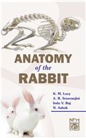 Anatomy of the Rabbit