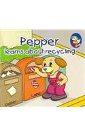 Pepper Learns About Recycling