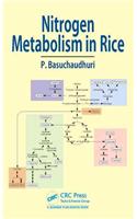 Nitrogen Metabolism in Rice